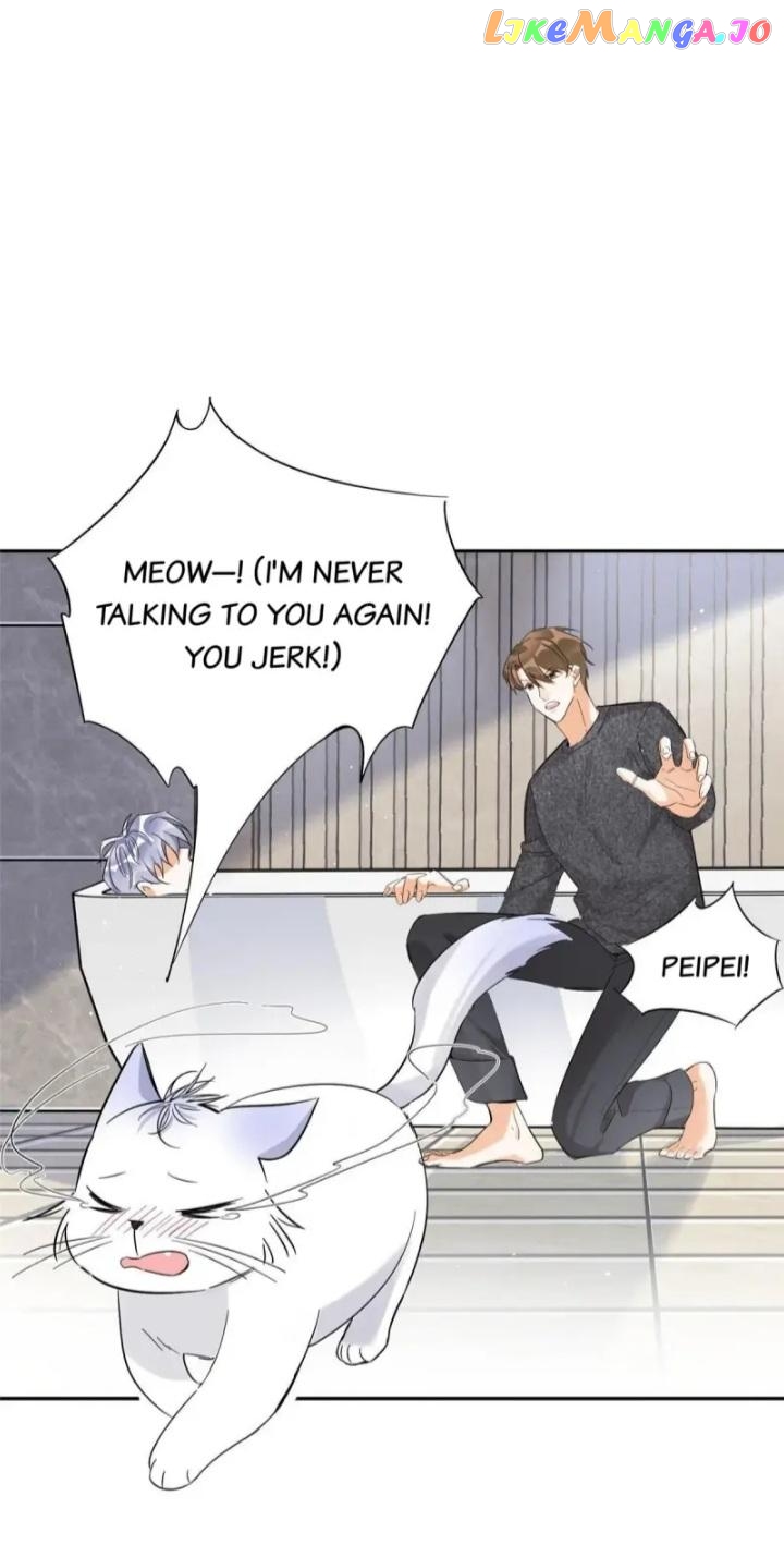 I Have To Work Hard As A Cat Today Chapter 38 - page 29
