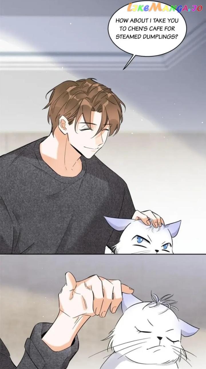 I Have To Work Hard As A Cat Today Chapter 38 - page 33