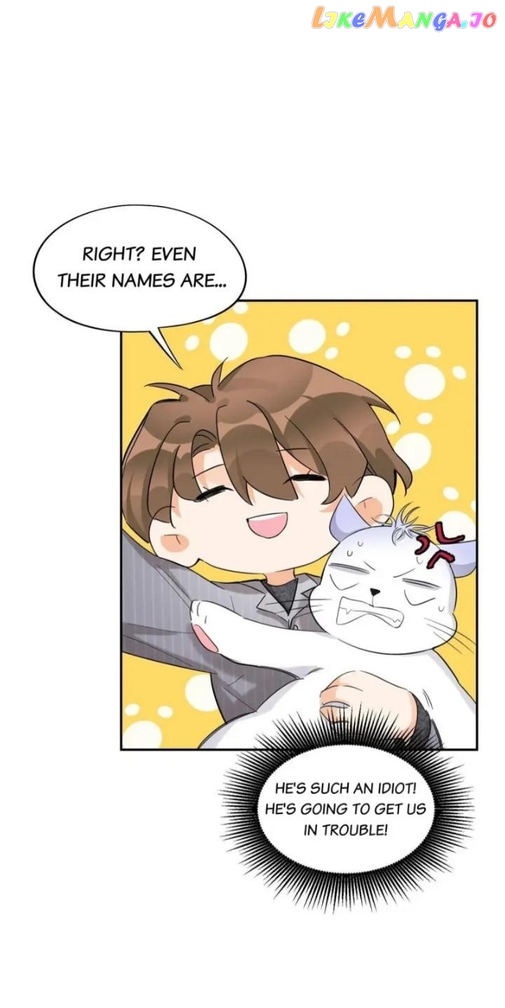 I Have To Work Hard As A Cat Today Chapter 38 - page 5