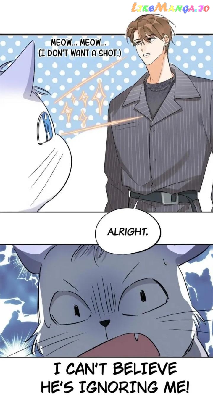 I Have To Work Hard As A Cat Today Chapter 35 - page 15