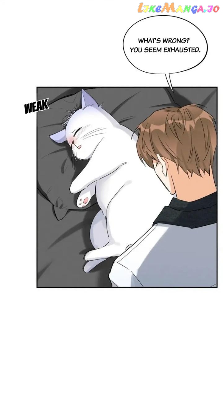 I Have To Work Hard As A Cat Today Chapter 35 - page 8