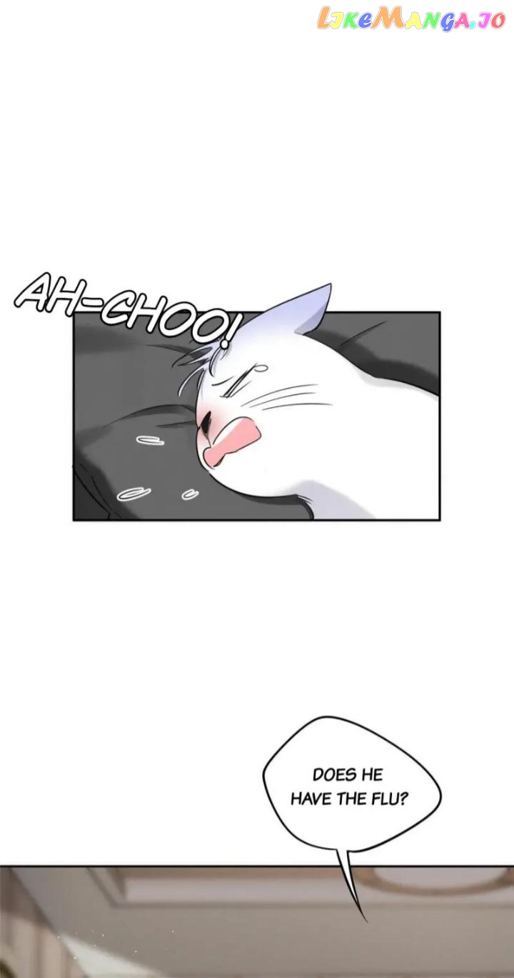 I Have To Work Hard As A Cat Today Chapter 35 - page 9