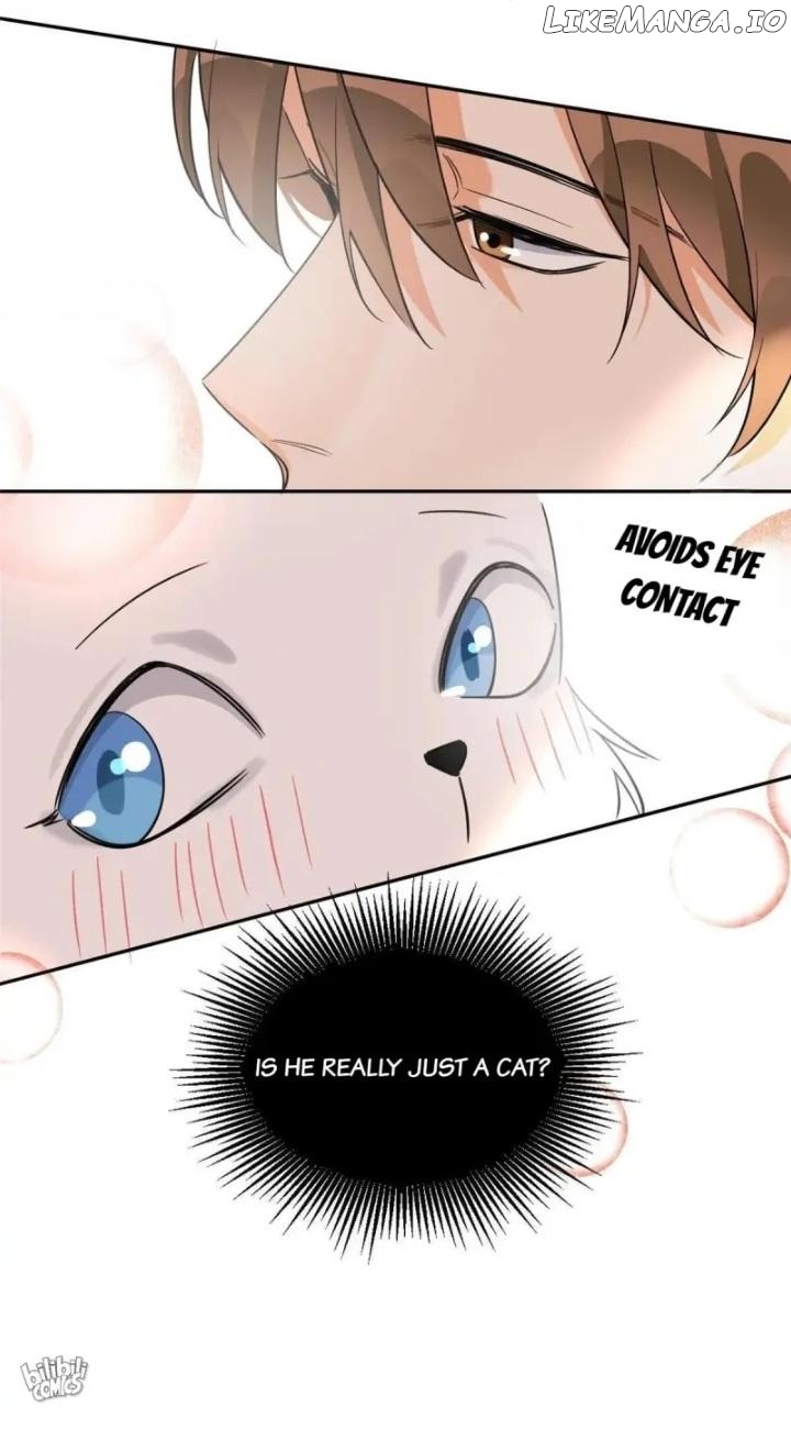 I Have To Work Hard As A Cat Today Chapter 34 - page 27