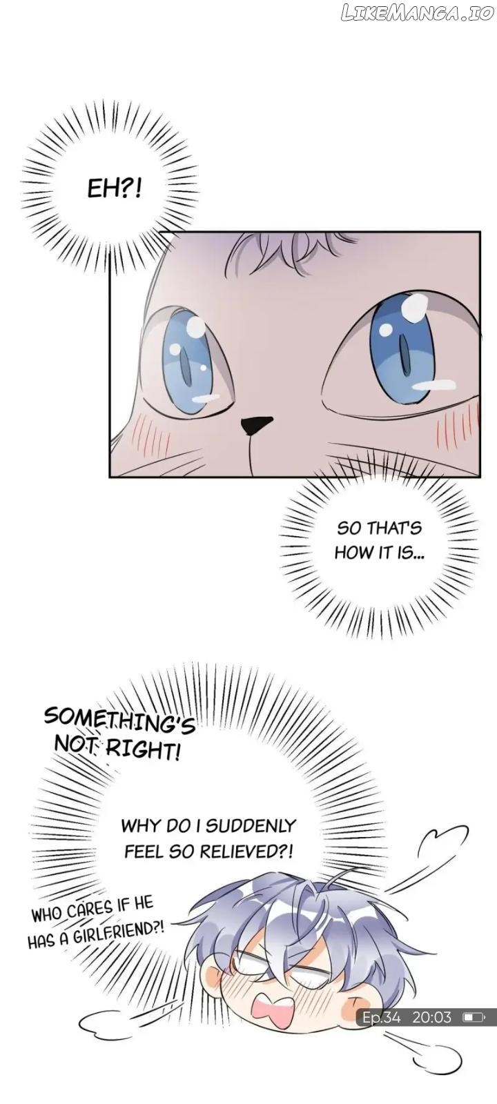 I Have To Work Hard As A Cat Today Chapter 34 - page 6