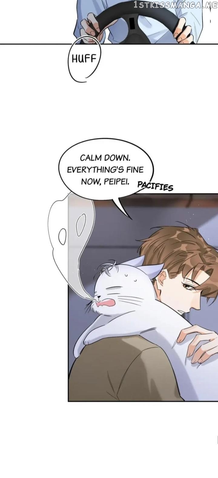 I Have To Work Hard As A Cat Today Chapter 33 - page 8