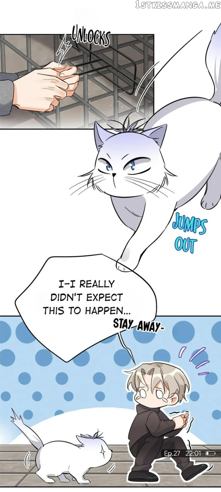 I Have To Work Hard As A Cat Today Chapter 27 - page 23