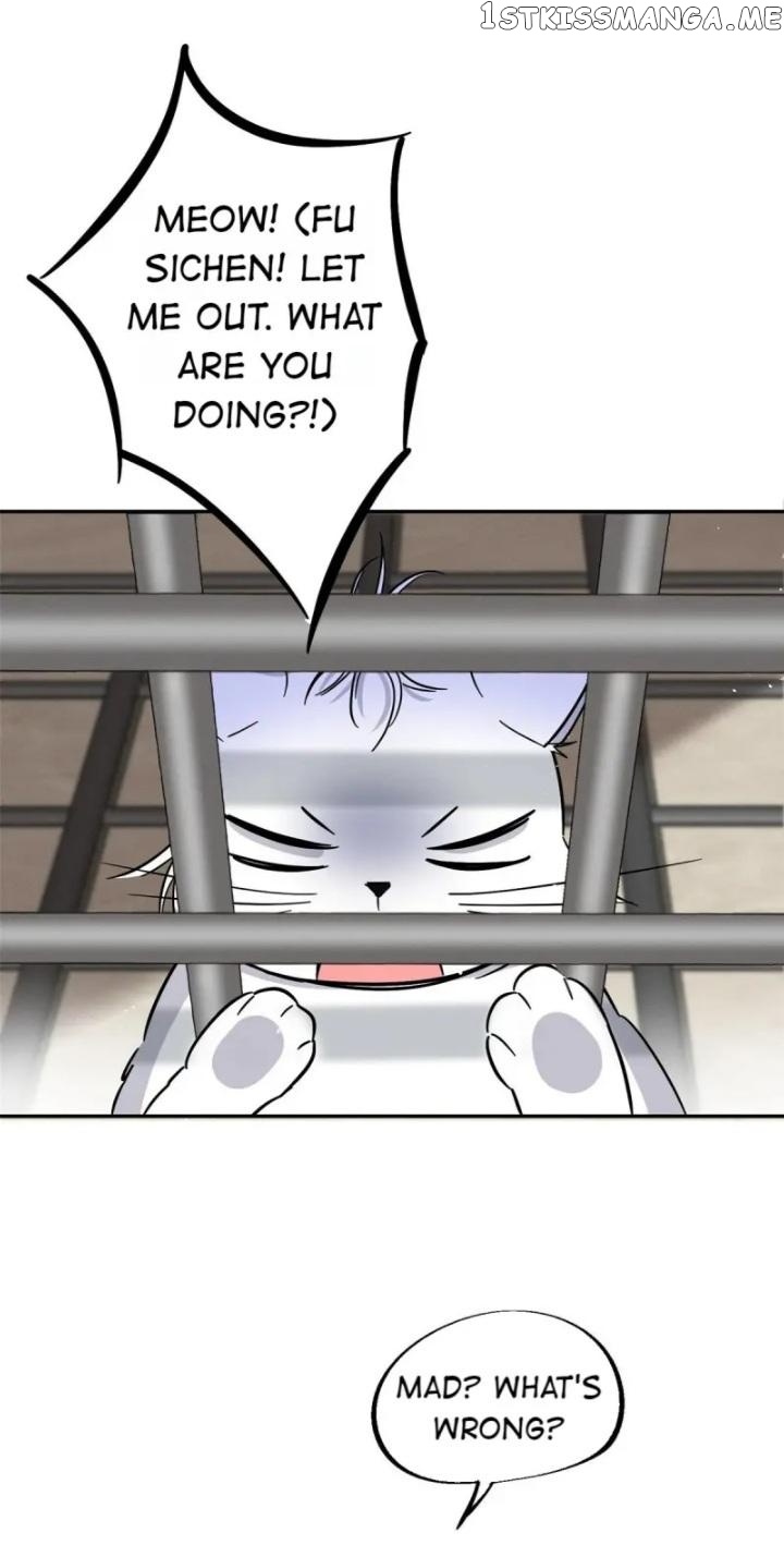 I Have To Work Hard As A Cat Today Chapter 27 - page 5
