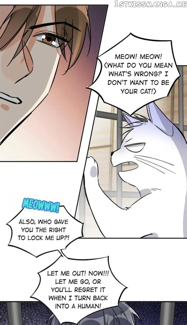 I Have To Work Hard As A Cat Today Chapter 27 - page 6