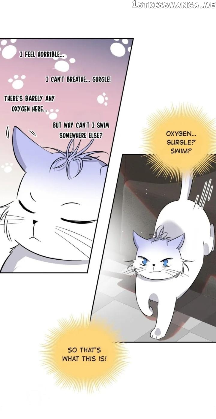 I Have To Work Hard As A Cat Today Chapter 24 - page 15