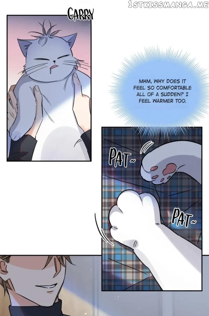 I Have To Work Hard As A Cat Today Chapter 23 - page 12
