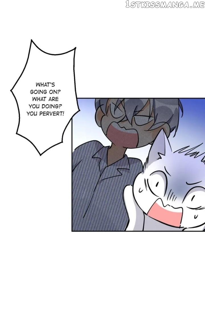 I Have To Work Hard As A Cat Today Chapter 23 - page 16