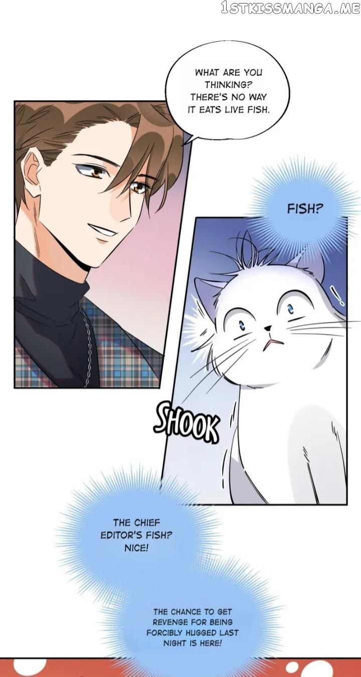 I Have To Work Hard As A Cat Today Chapter 23 - page 28