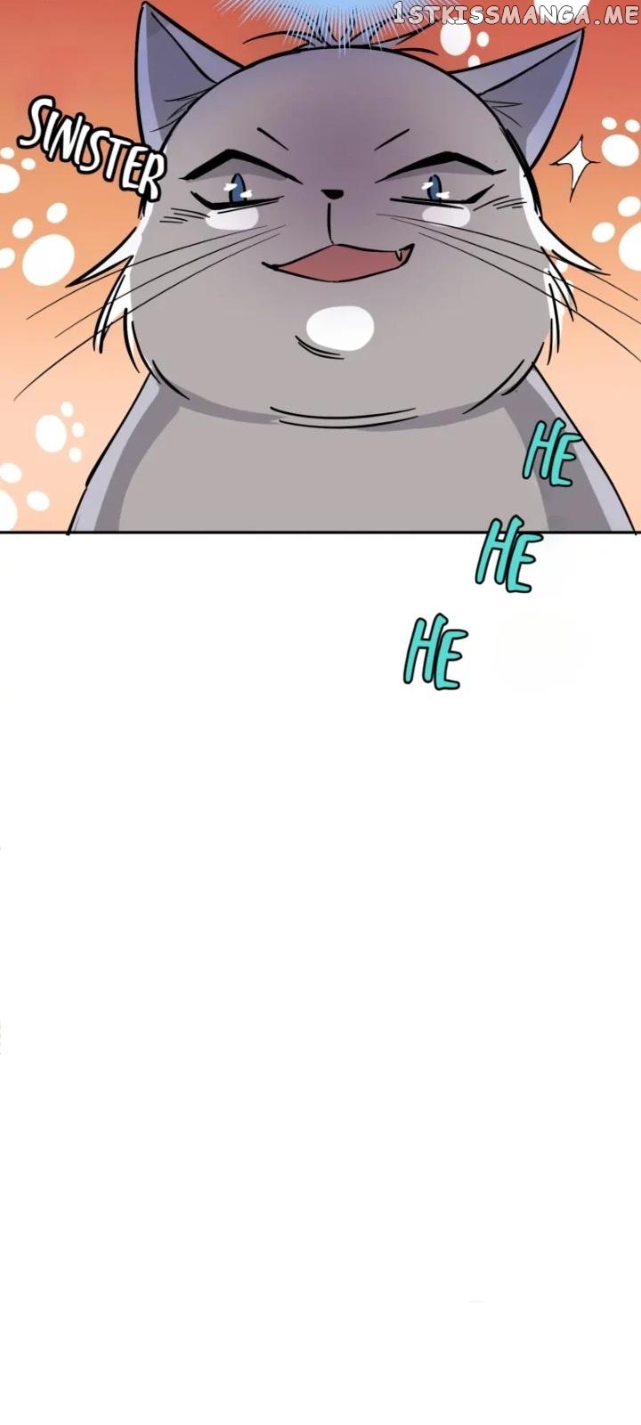 I Have To Work Hard As A Cat Today Chapter 23 - page 29