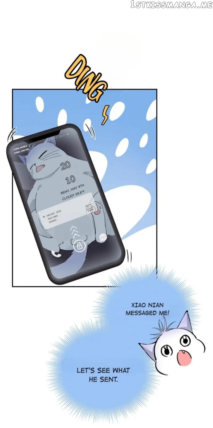 I Have To Work Hard As A Cat Today Chapter 23 - page 3
