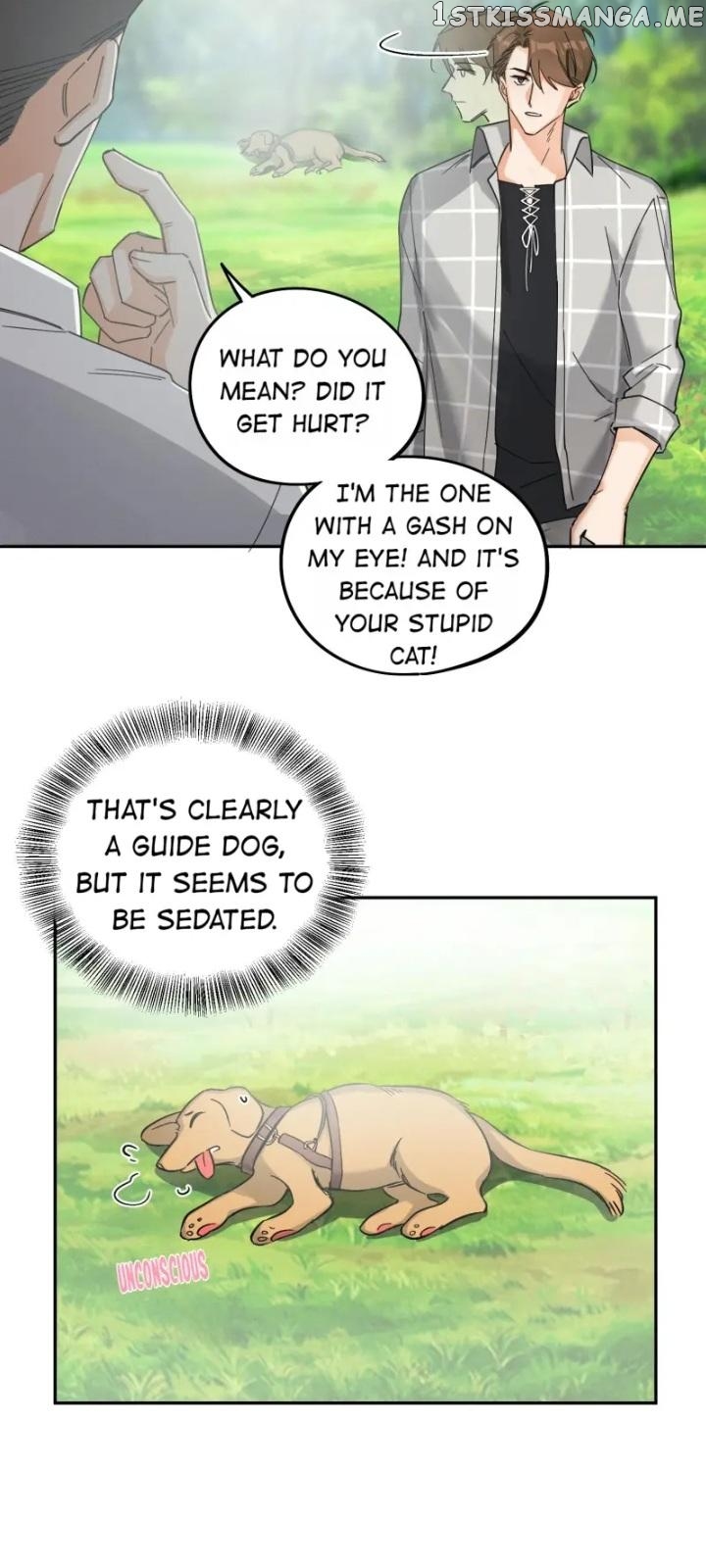 I Have To Work Hard As A Cat Today Chapter 17 - page 15