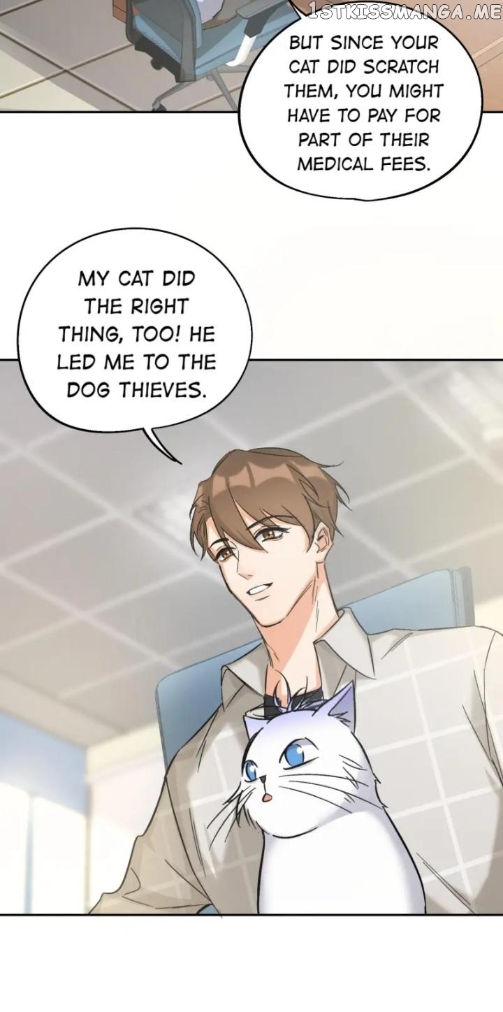 I Have To Work Hard As A Cat Today Chapter 17 - page 28