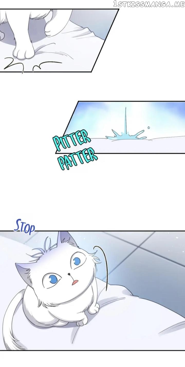 I Have To Work Hard As A Cat Today Chapter 15 - page 31