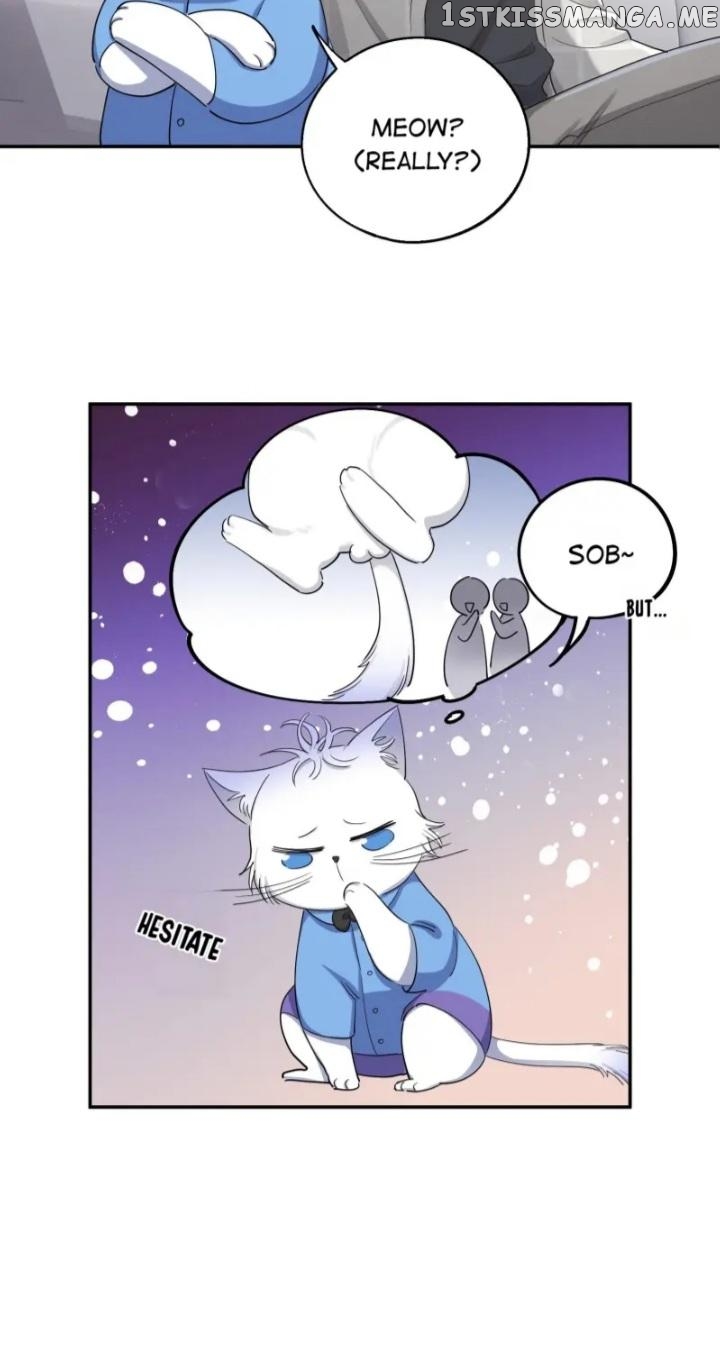 I Have To Work Hard As A Cat Today Chapter 15 - page 8