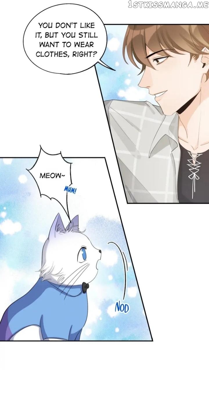 I Have To Work Hard As A Cat Today Chapter 15 - page 9