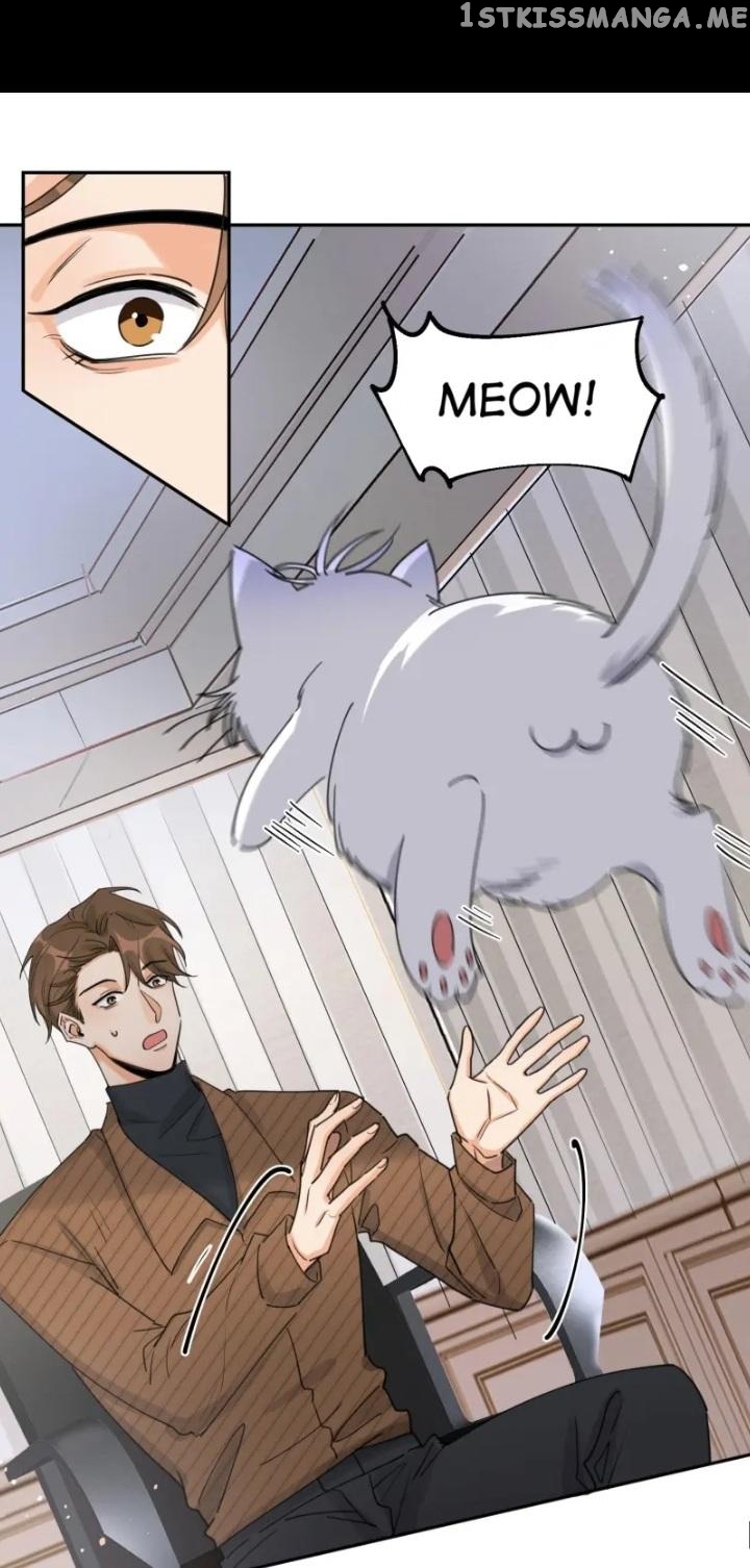 I Have To Work Hard As A Cat Today Chapter 13 - page 31