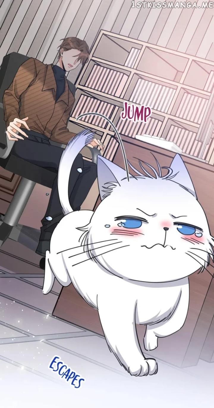 I Have To Work Hard As A Cat Today Chapter 13 - page 35