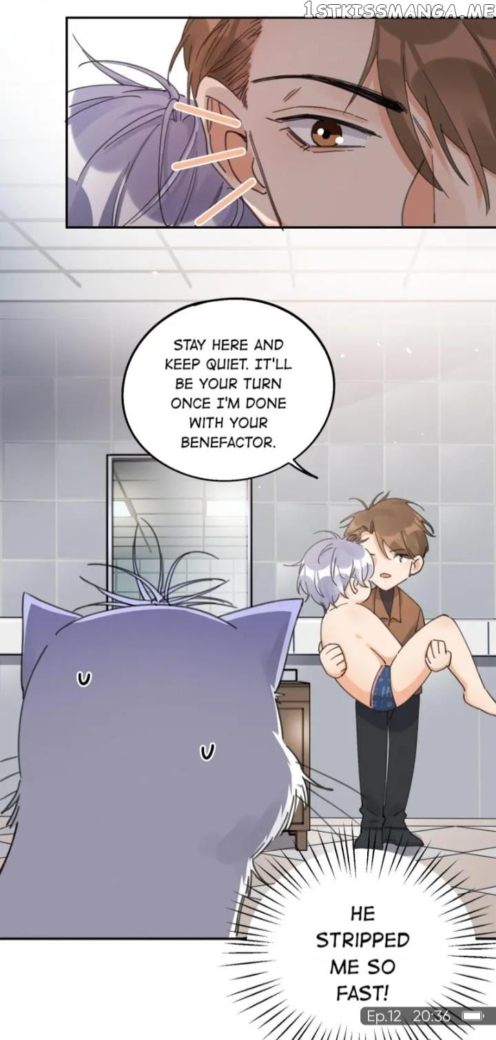 I Have To Work Hard As A Cat Today Chapter 12 - page 15
