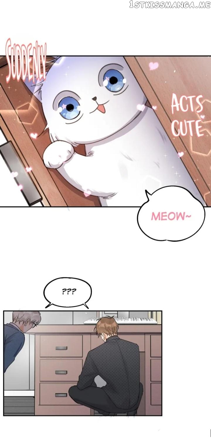 I Have To Work Hard As A Cat Today Chapter 11 - page 12