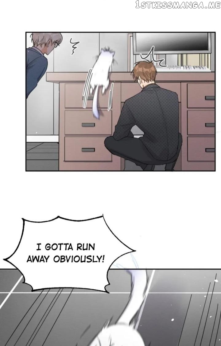I Have To Work Hard As A Cat Today Chapter 11 - page 13