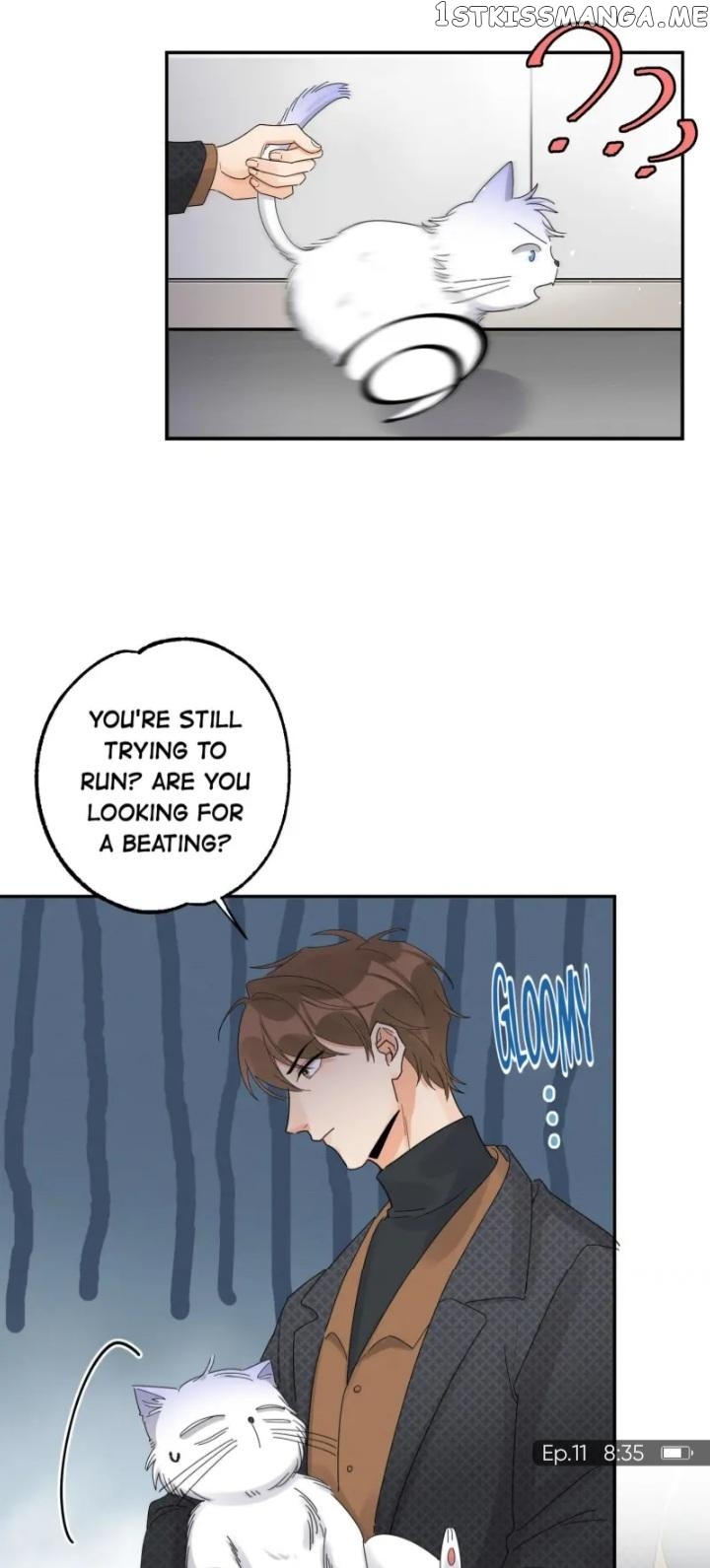 I Have To Work Hard As A Cat Today Chapter 11 - page 15