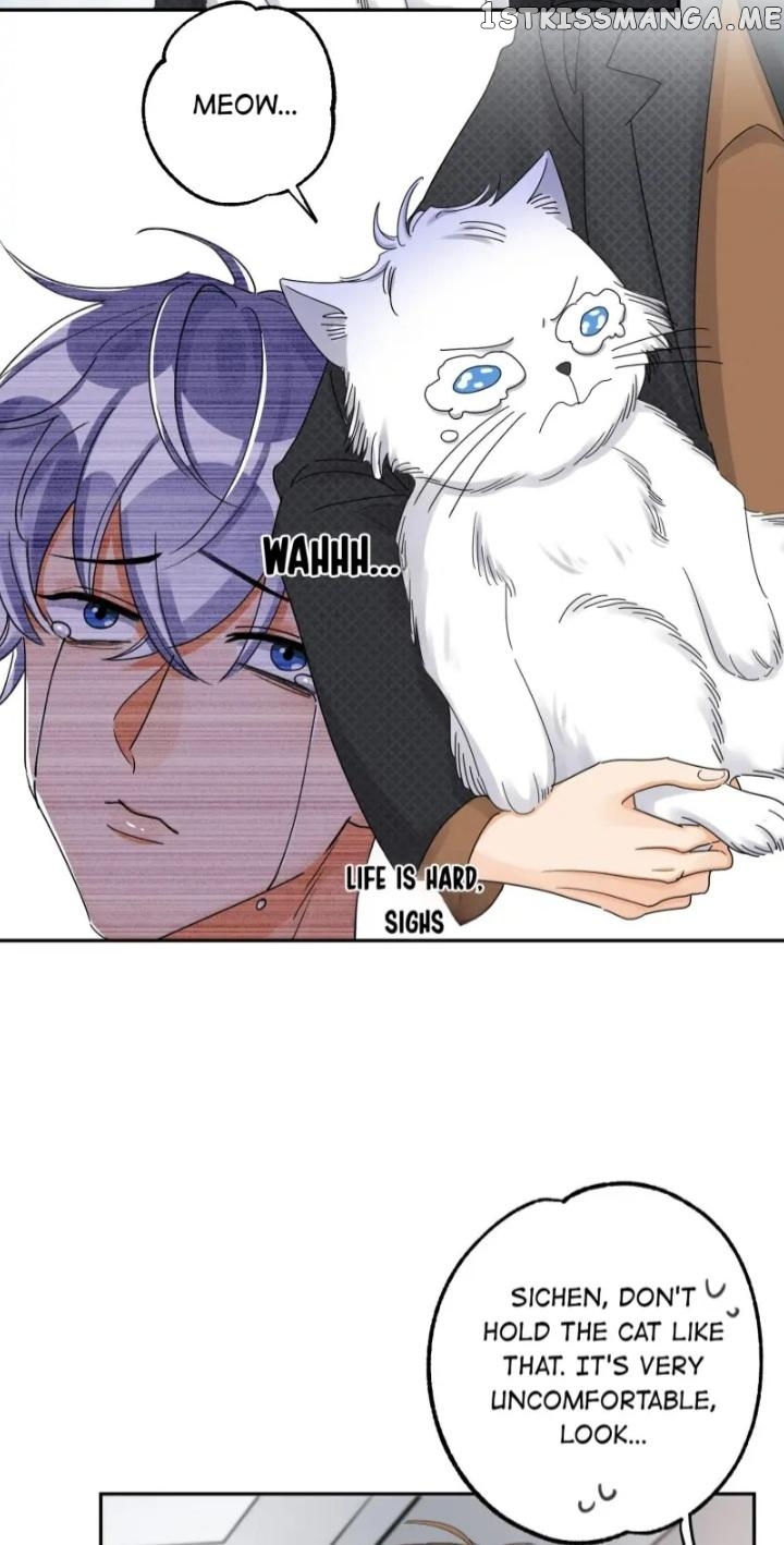 I Have To Work Hard As A Cat Today Chapter 11 - page 16