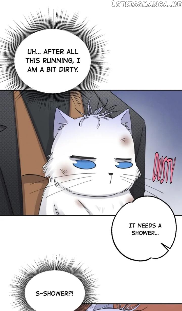 I Have To Work Hard As A Cat Today Chapter 11 - page 25