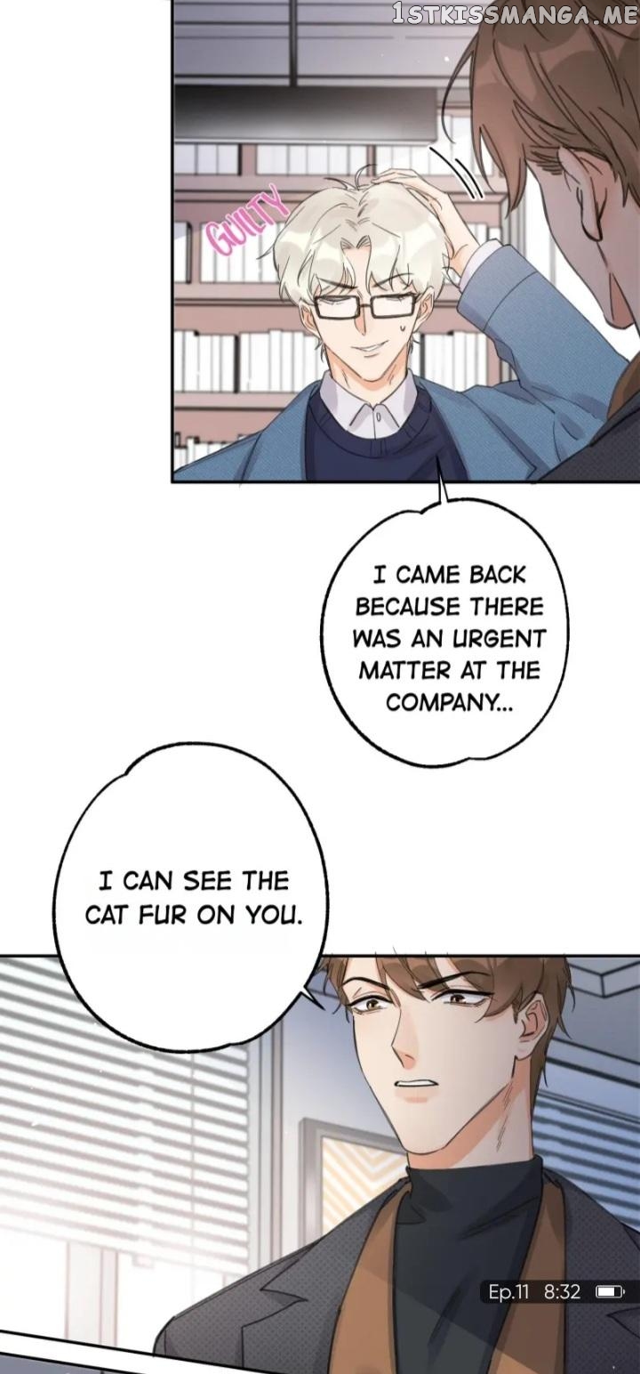 I Have To Work Hard As A Cat Today Chapter 11 - page 4