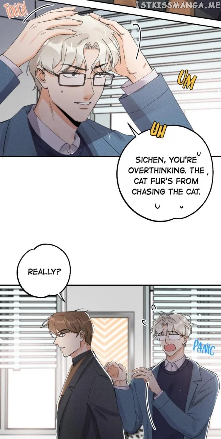 I Have To Work Hard As A Cat Today Chapter 11 - page 5