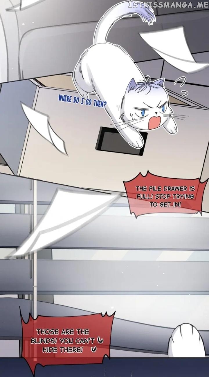 I Have To Work Hard As A Cat Today Chapter 10 - page 15