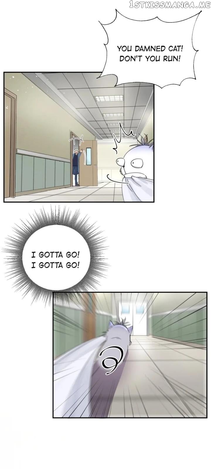 I Have To Work Hard As A Cat Today Chapter 9 - page 15