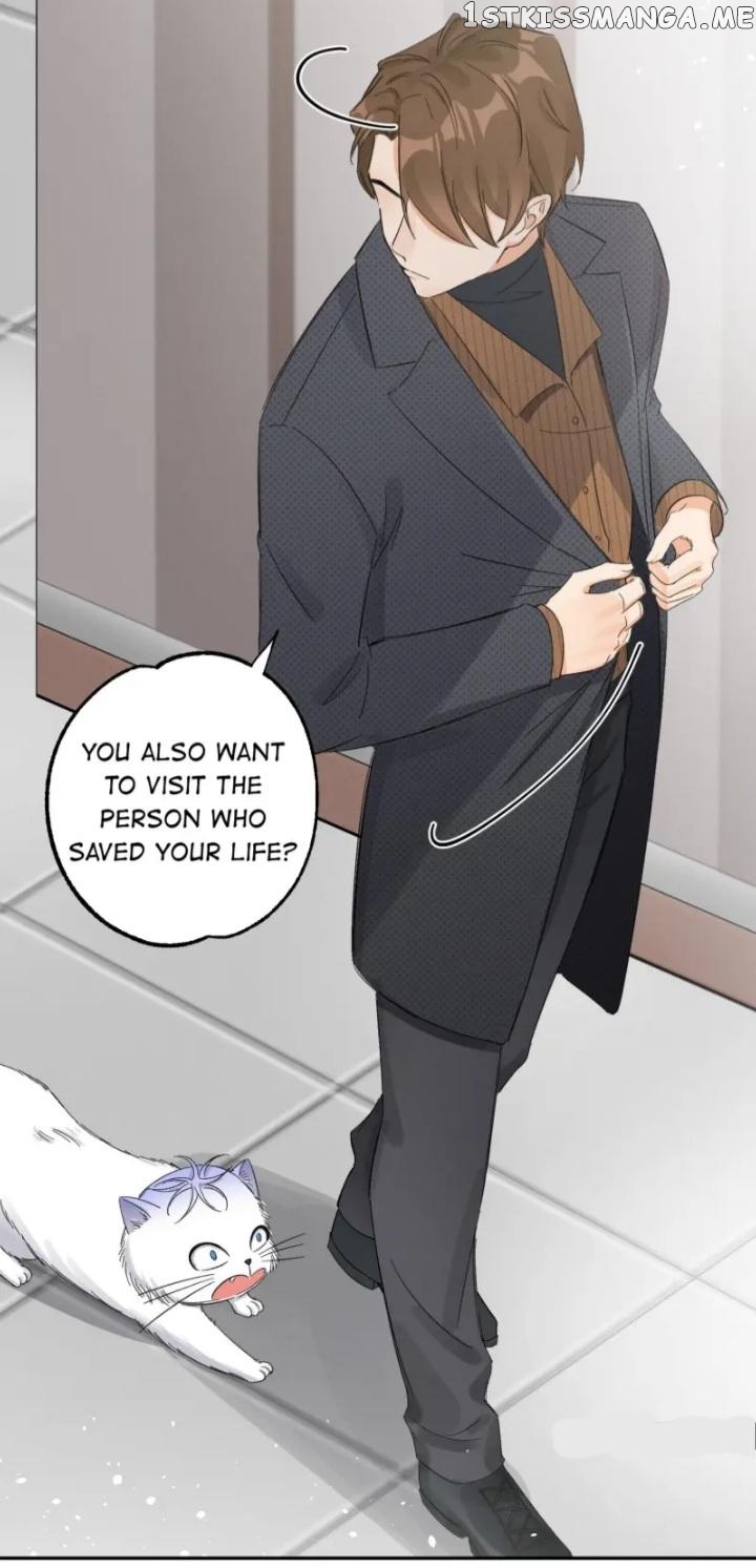 I Have To Work Hard As A Cat Today Chapter 8 - page 17