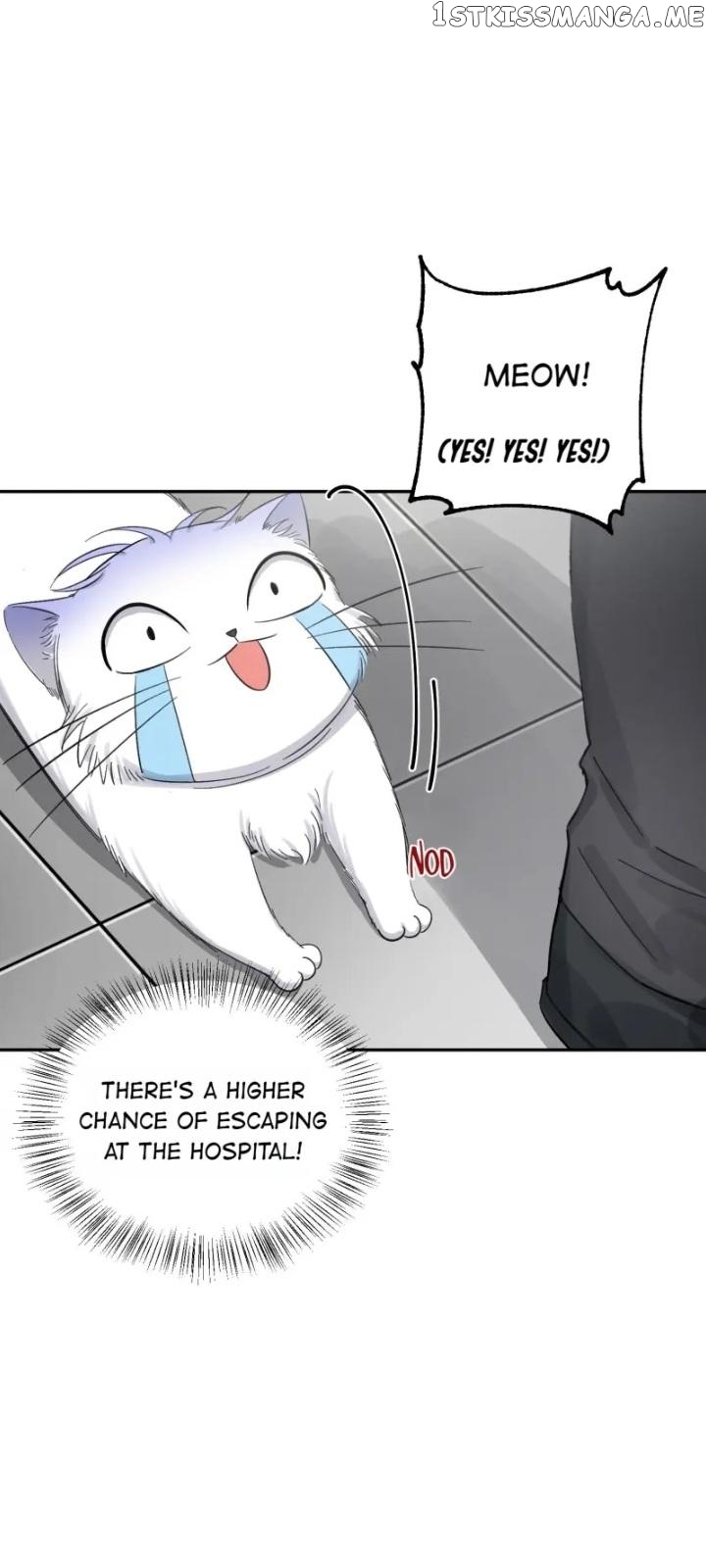 I Have To Work Hard As A Cat Today Chapter 8 - page 18