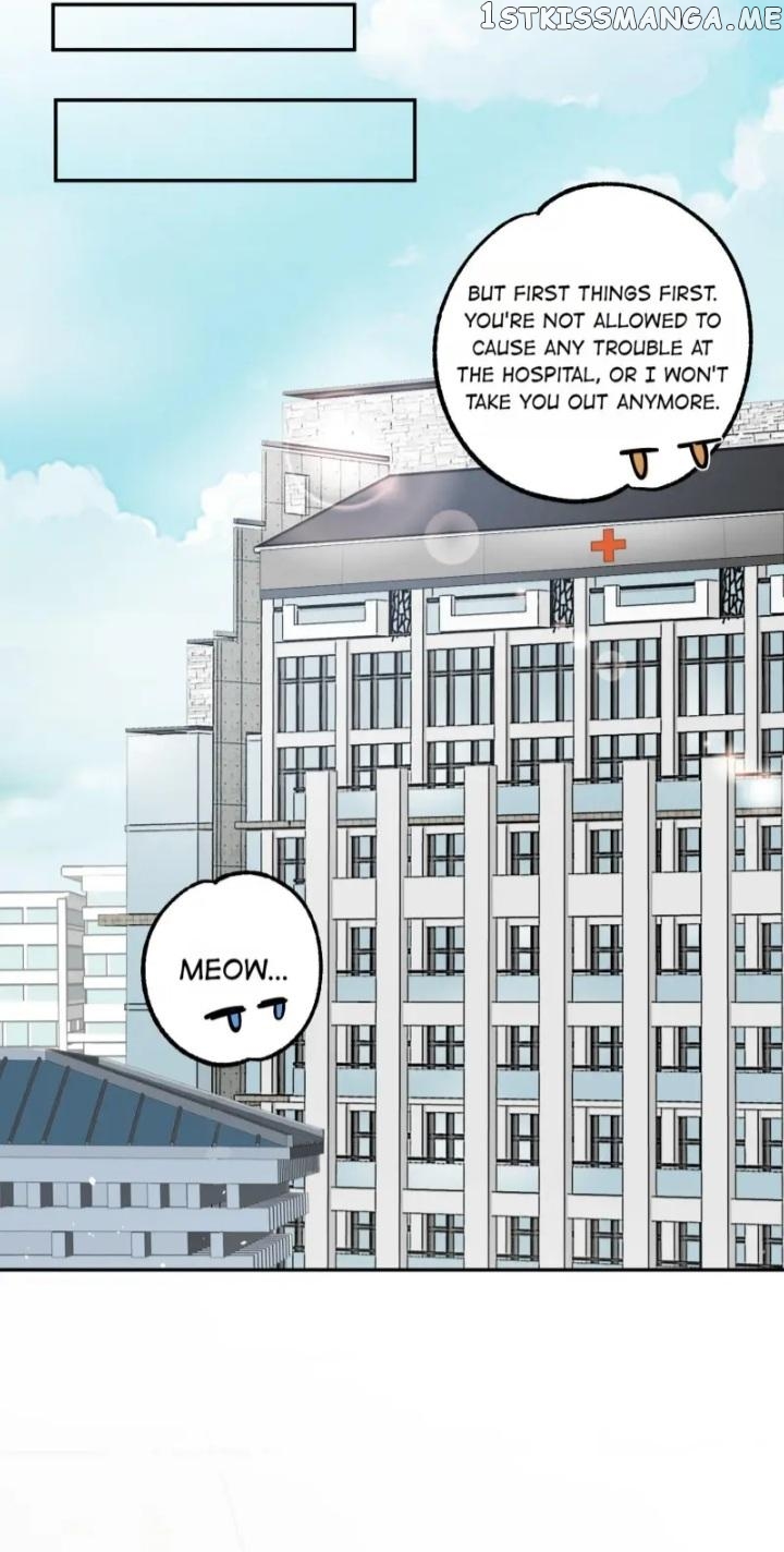 I Have To Work Hard As A Cat Today Chapter 8 - page 20