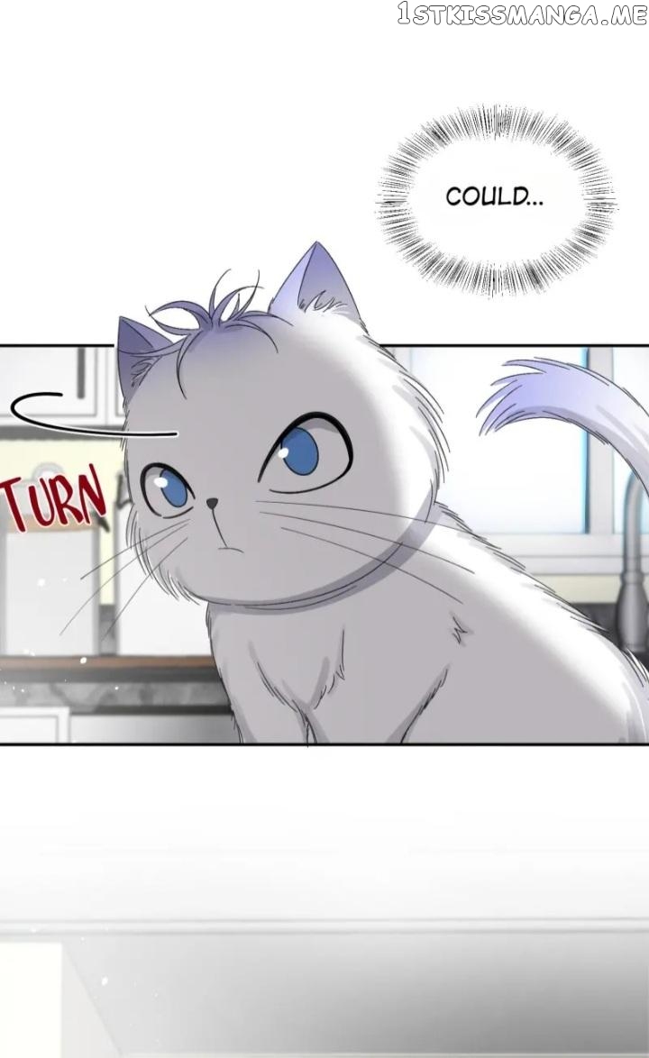 I Have To Work Hard As A Cat Today Chapter 8 - page 7