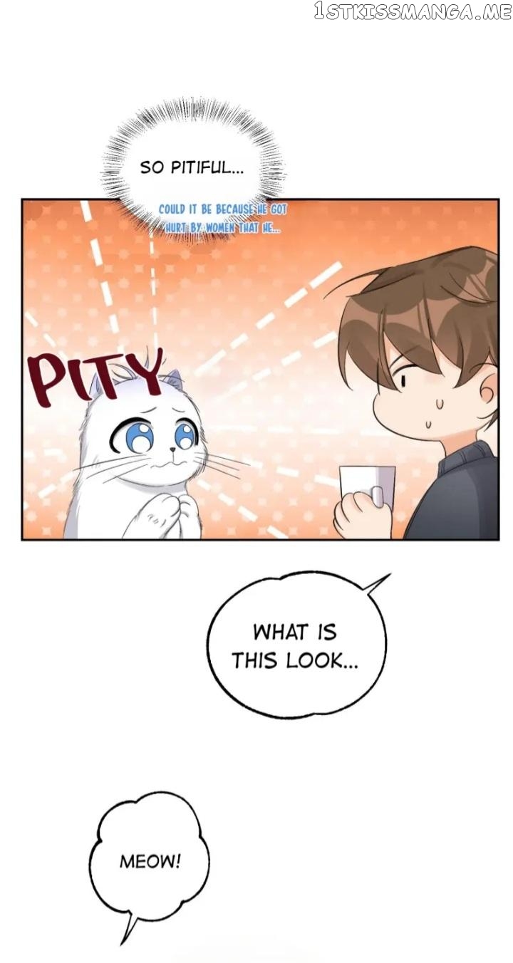 I Have To Work Hard As A Cat Today Chapter 8 - page 9