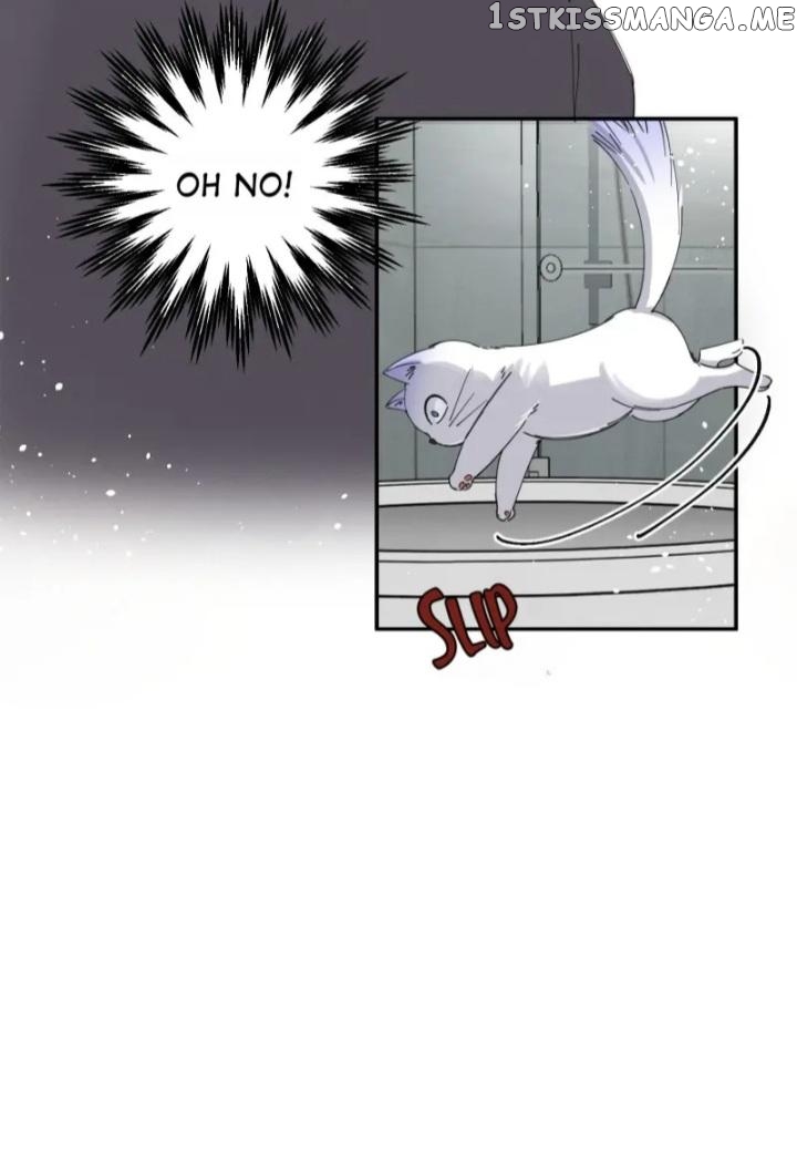 I Have To Work Hard As A Cat Today Chapter 7 - page 13