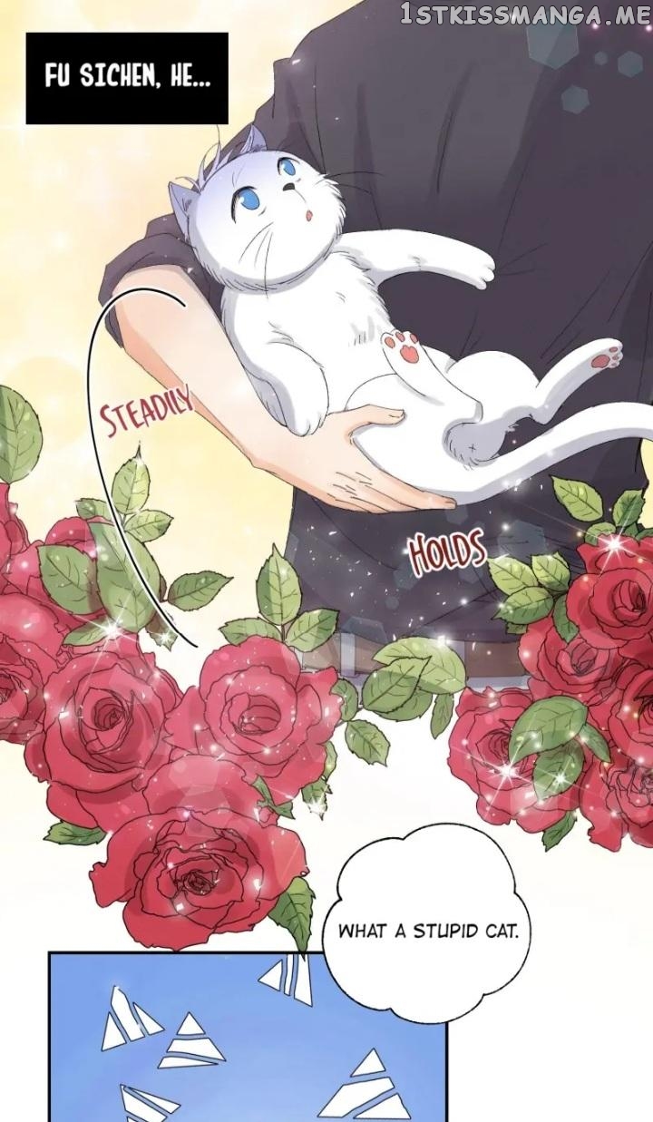 I Have To Work Hard As A Cat Today Chapter 7 - page 17