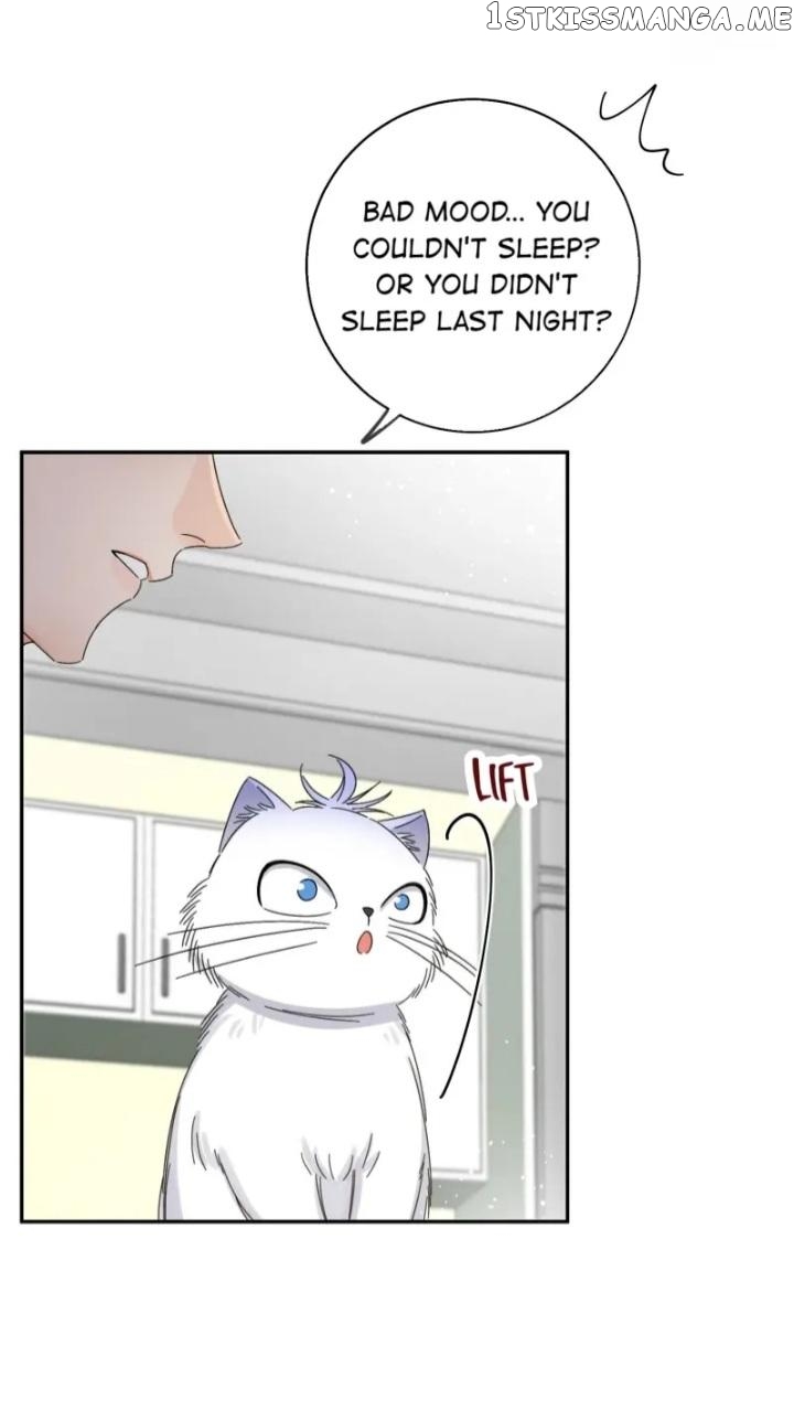 I Have To Work Hard As A Cat Today Chapter 7 - page 27