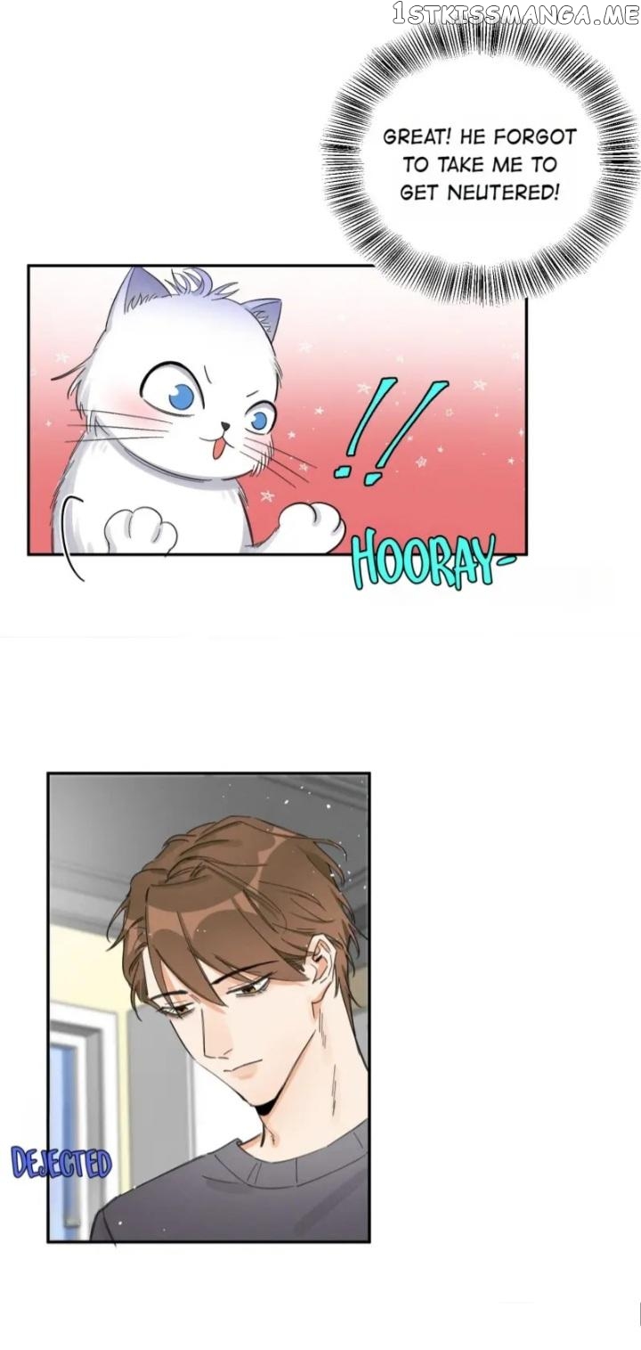 I Have To Work Hard As A Cat Today Chapter 7 - page 32