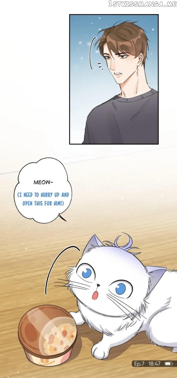 I Have To Work Hard As A Cat Today Chapter 7 - page 33