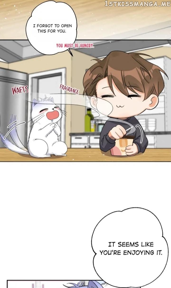 I Have To Work Hard As A Cat Today Chapter 7 - page 34