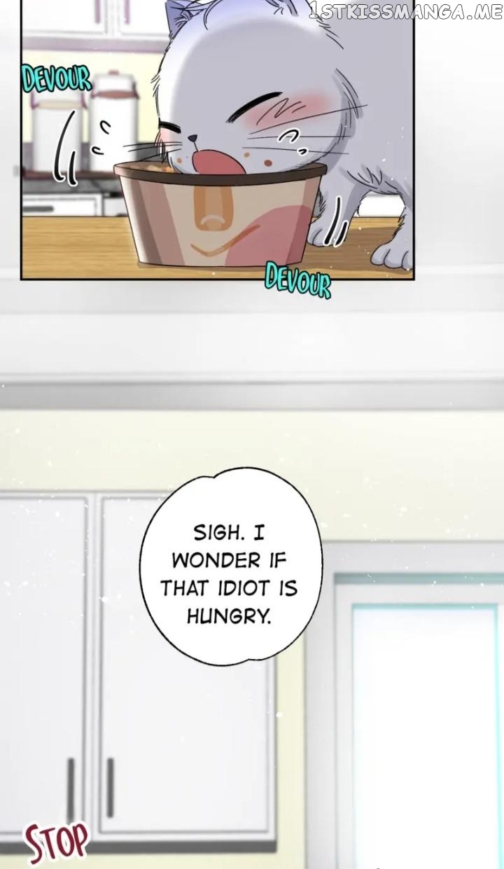 I Have To Work Hard As A Cat Today Chapter 7 - page 35