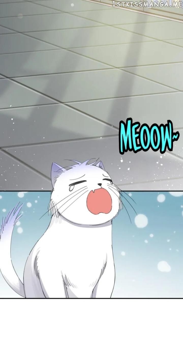 I Have To Work Hard As A Cat Today Chapter 7 - page 4
