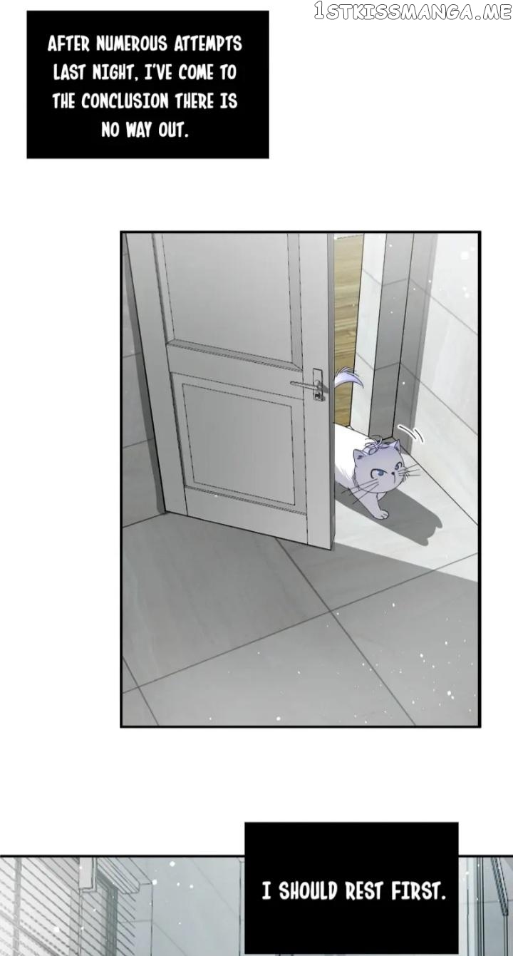 I Have To Work Hard As A Cat Today Chapter 7 - page 5
