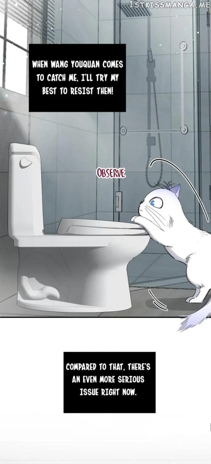 I Have To Work Hard As A Cat Today Chapter 7 - page 6